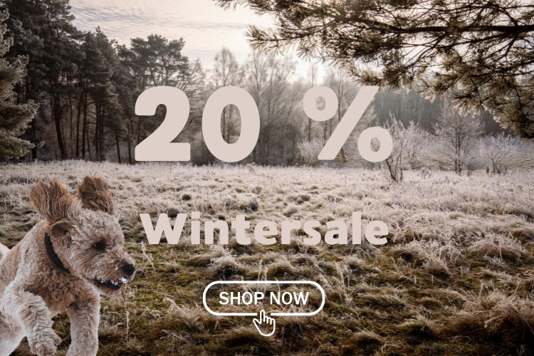 SALE/SALE-WINTER/